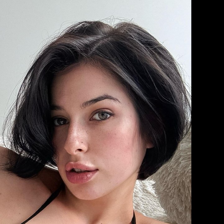 Vlada